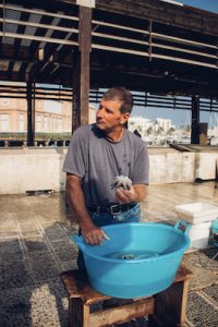 Un pescatore che vende il pesce appena pescato, n'dèrr a la lanze a Bari